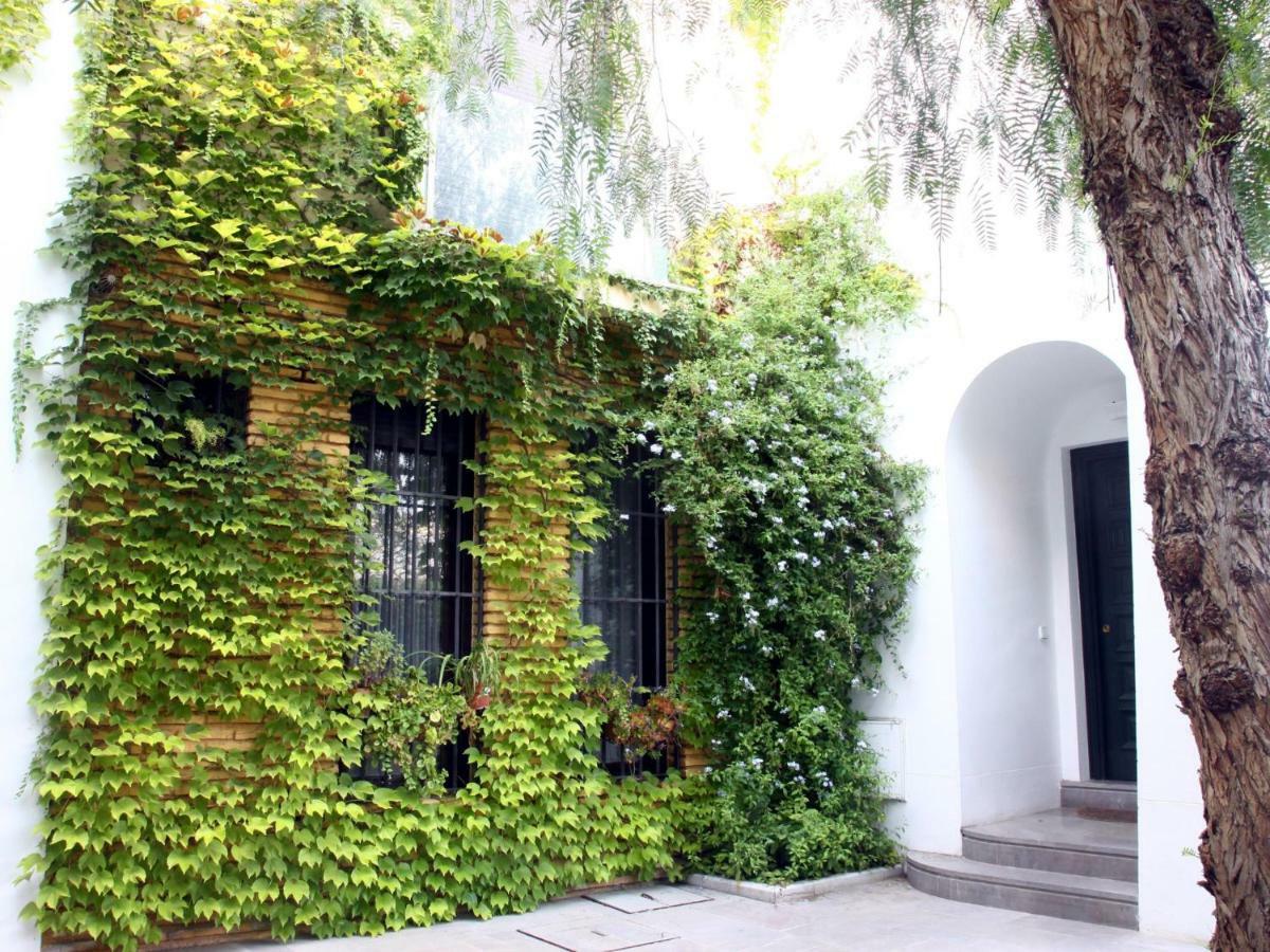 Saavedra Free Parking Cordoba Center公寓 外观 照片